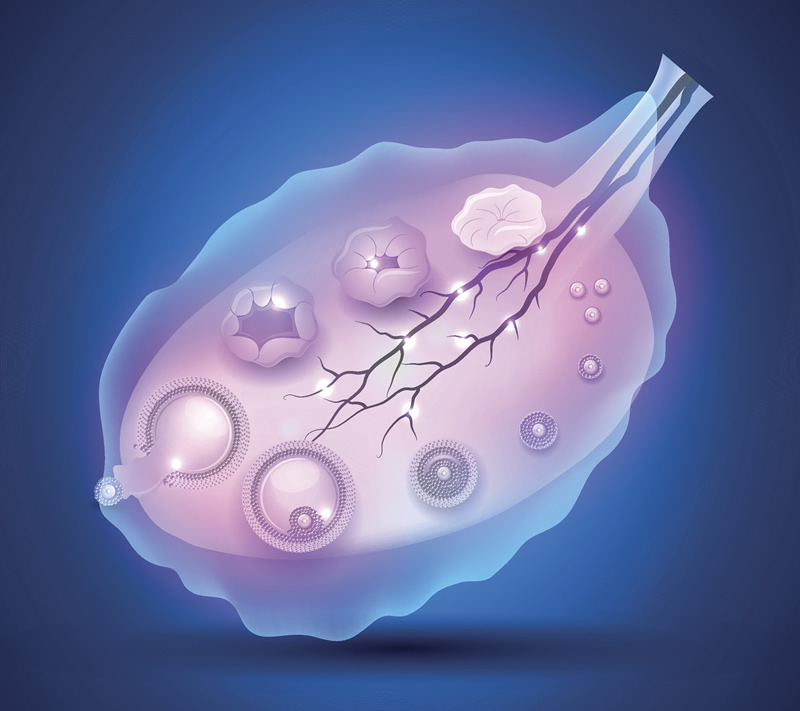 2026年南京46岁试管婴儿医院排名前十强榜单：鼓楼医院、江苏省人民医院等领衔，附高龄试管费用与解析